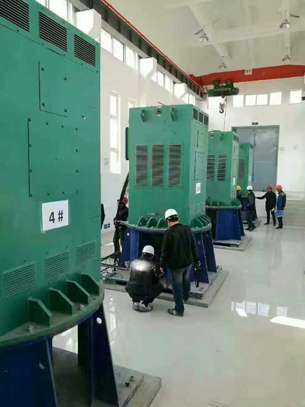 蒲城某污水处理厂使用我厂的立式高压电机安装现场生产厂家