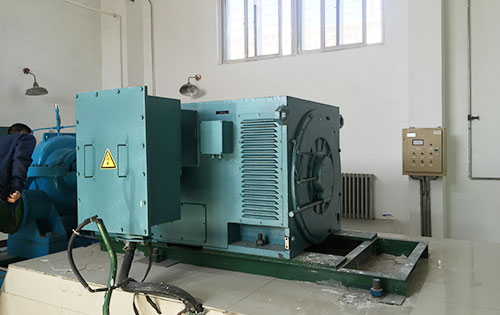 蒲城某水电站工程主水泵使用我公司高压电机