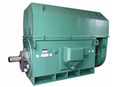 蒲城Y系列6KV高压电机
